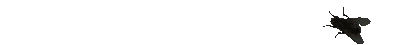 1016