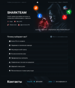 Shark Team.png